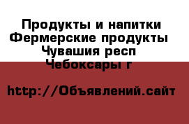 Продукты и напитки Фермерские продукты. Чувашия респ.,Чебоксары г.